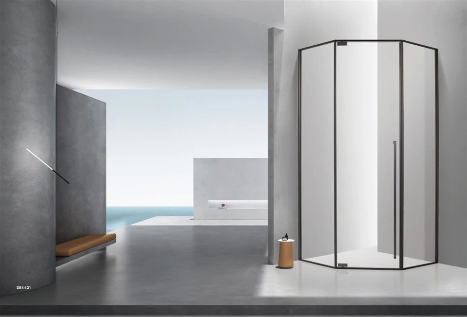 Stainless Steel Framed Casement Door Shower Room Stainless Steel Framed Casement Door Shower Room